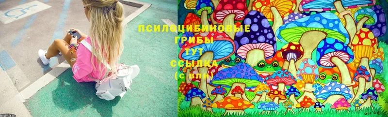 Галлюциногенные грибы Cubensis  Пикалёво 